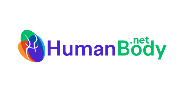 HumanBody.net